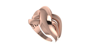 Sculpted and Fusion Ring Sculpted and Fusion Ring