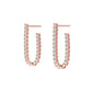 Gleaming Elegance Earrings
