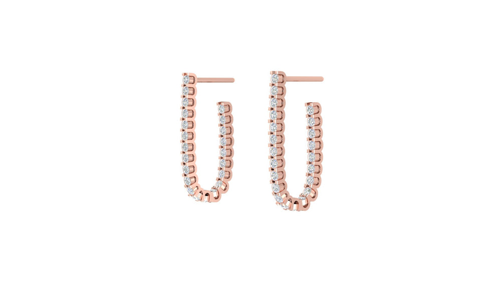 Gleaming Elegance Earrings