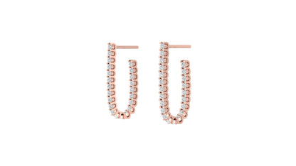 Gleaming Elegance Earrings