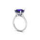 Sapphire Solstice Ring