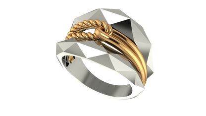 Sophisticated Geometric Ring