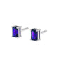 Royal Amethyst Earrings