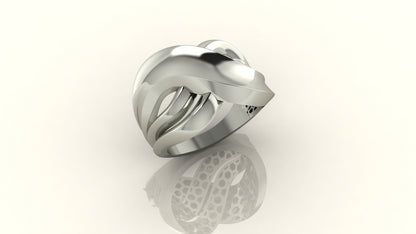 Sculpted and Fusion Ring