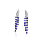 Midnight Elegance Earrings