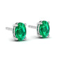 Stud Earring S873